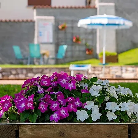 Hotel Celeste View 4*